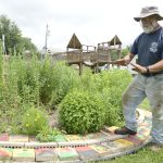 article image - 